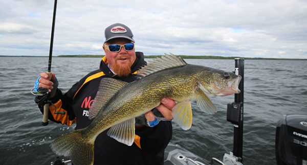 The Perfect Harness for Walleyes Deadliest Spinner Rigs For Walleyes